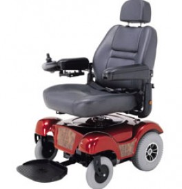 (image for) Merits P310